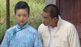 精武陈真电视剧,热血铸就民族魂