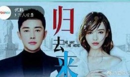 电视剧归去来大结局,命运交织，终章揭秘，爱恨情仇终成空